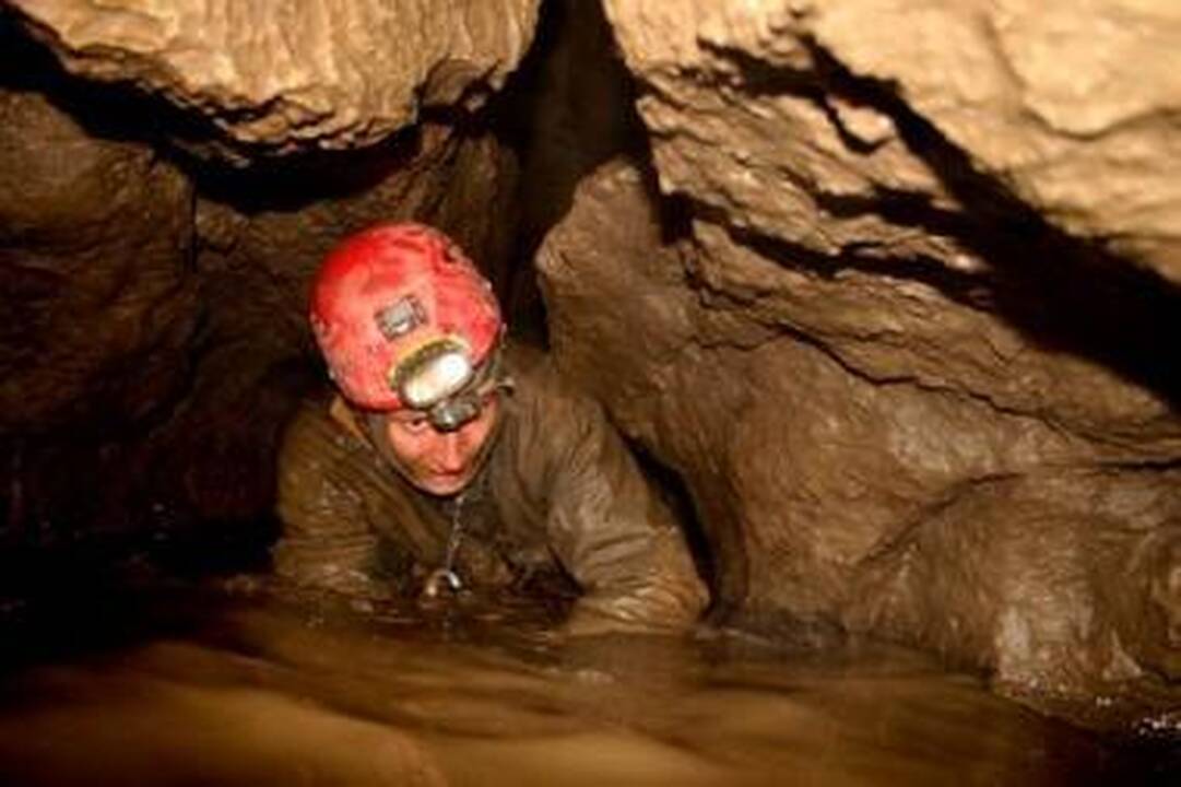 Lietuviai užkariaus gelmes