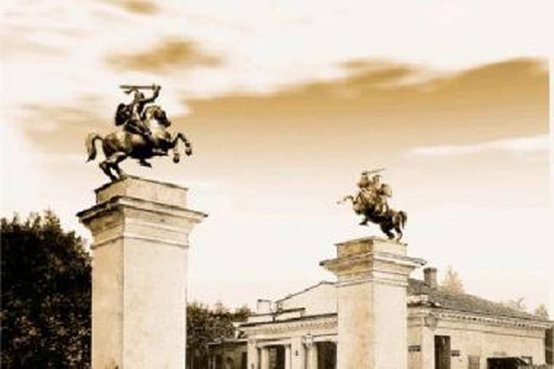 Baltųjų stulpų iniciatoriai – vieniši