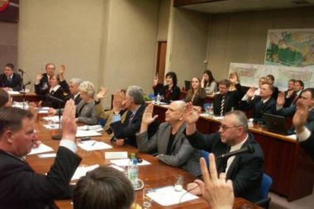 Tikslas: partijos suskubo rinkti lyderius, vesiančius jas į miesto tarybą.