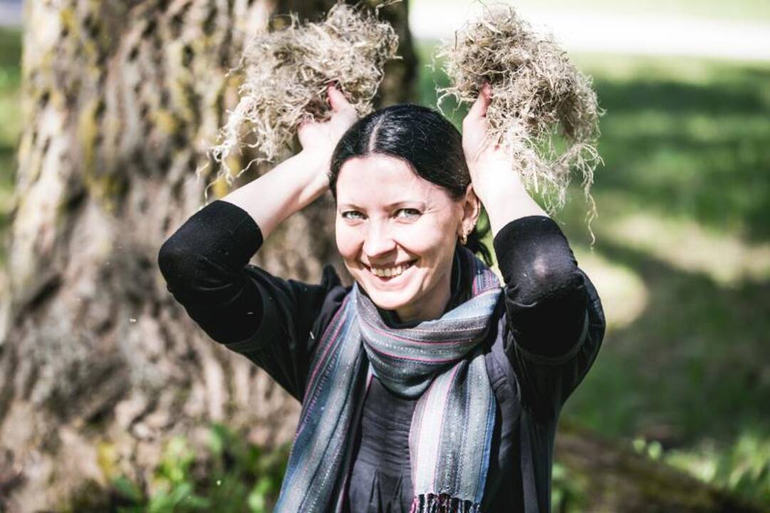 Pakulos – būsimi natūralūs        baldai
