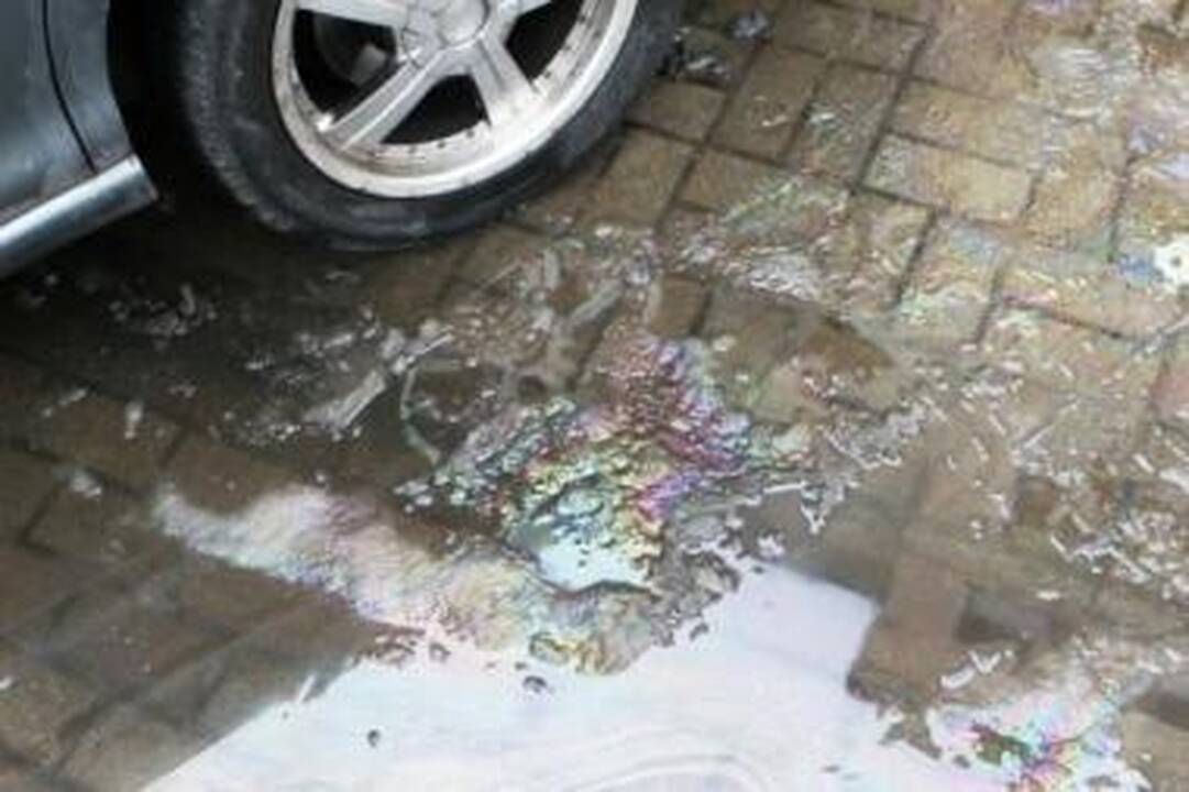 Ramybė: upeliais miesto centre tekančiais teršalais susizgribta pasirūpinti tik pavakare.
