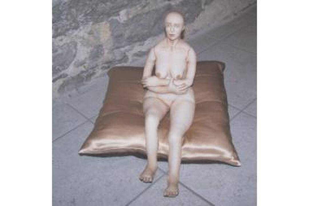 Menininkų žvilgsnis – į XXI amžiaus moterį