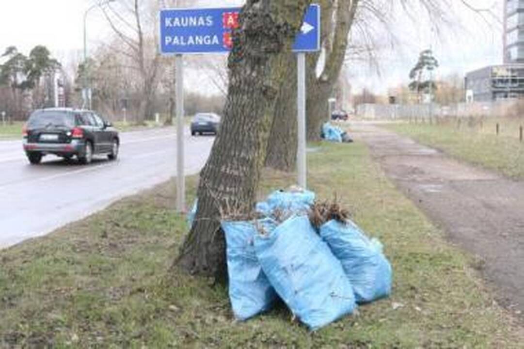 Palikimas: Minijos gatvėje į mėlynus maišus sukrautos šiukšlės verčia manyti, kad tai šeštadienį akcijos metu surinktos atliekos.