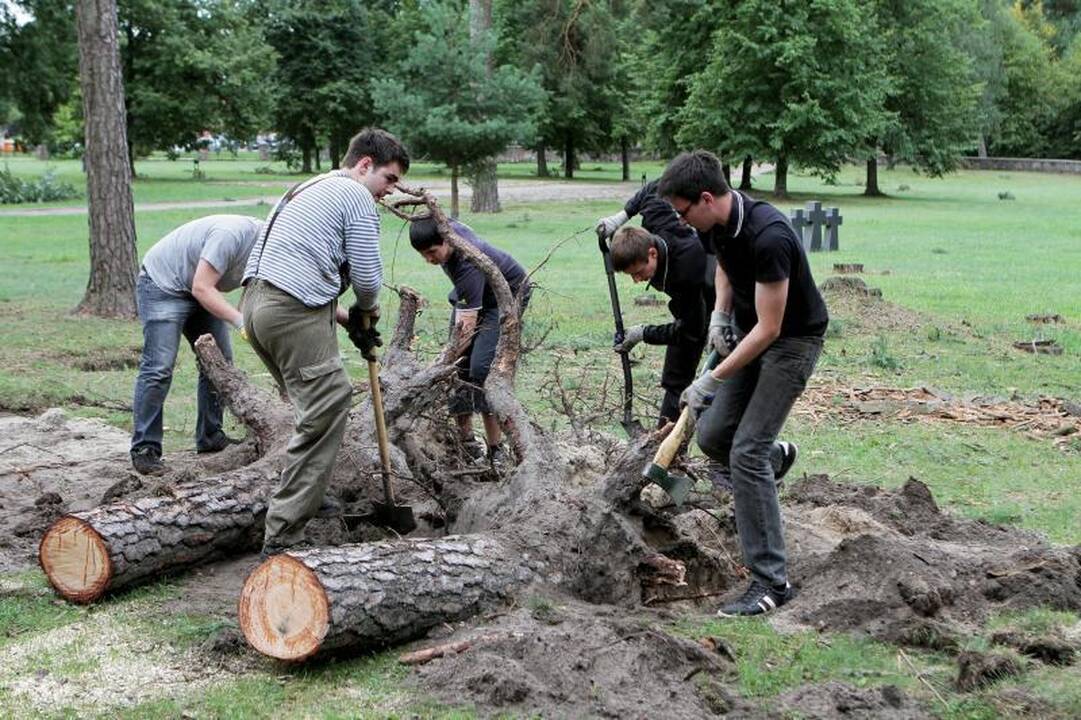 Kapų   tvarkytojai   triūsia   Klaipėdoje   