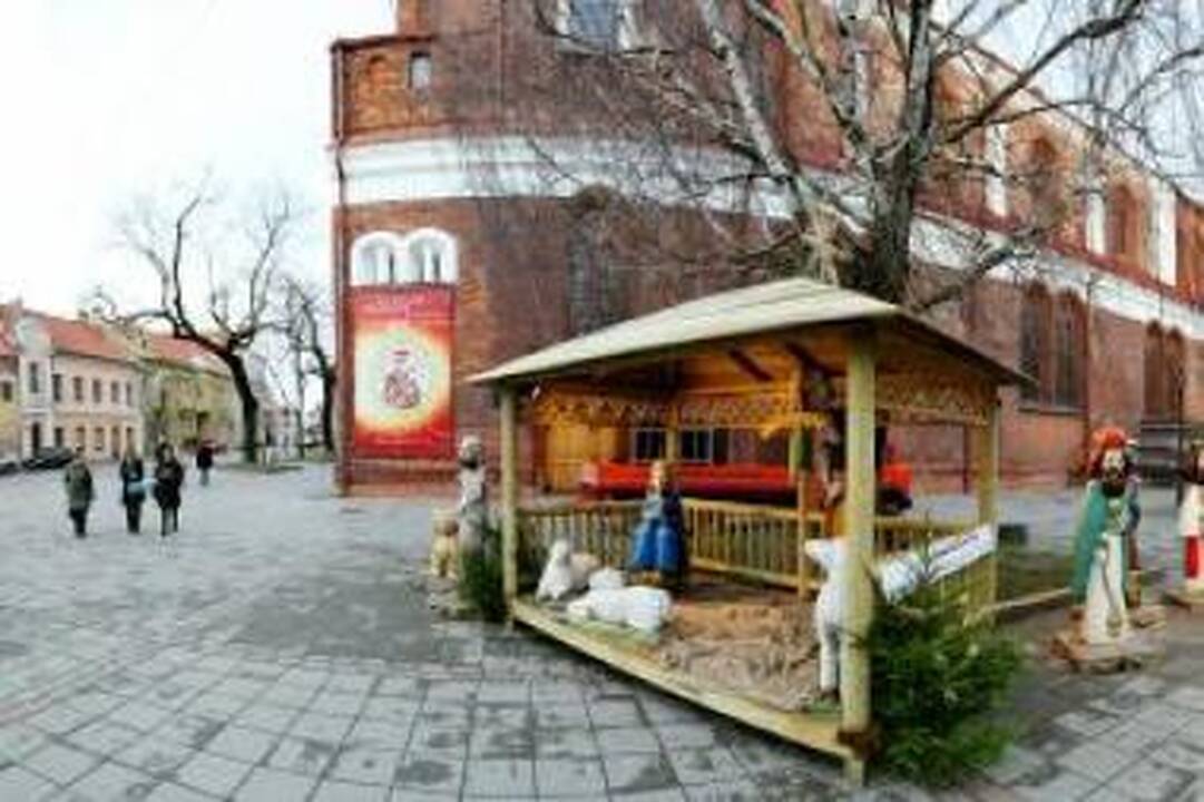 Aikštėje apsigyveno avis ir ėriukai