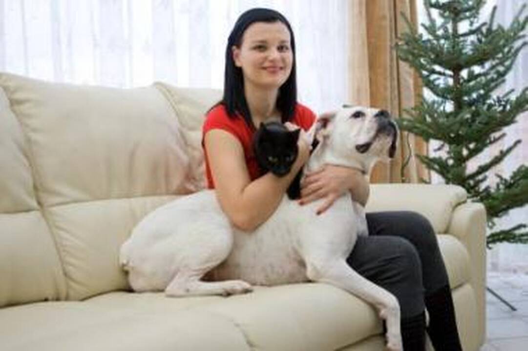 Dizainerės batus vagia bokserė Milka