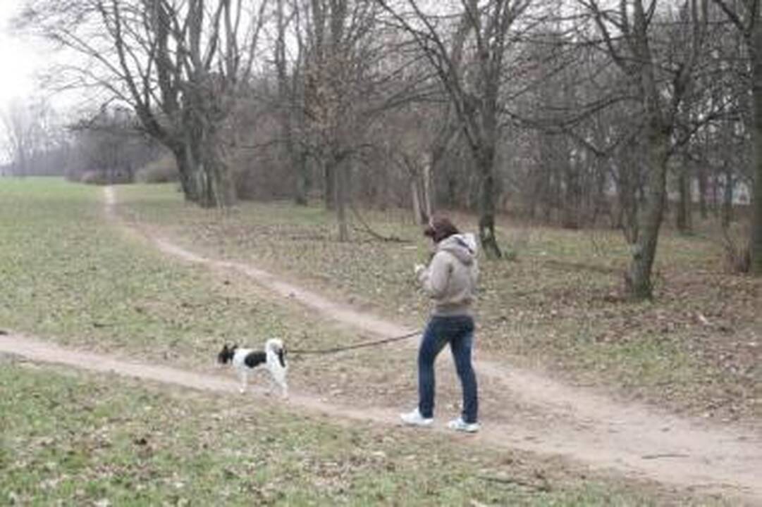 Įtūžis: šioje aikštelėje šunis vedžiojantys klaipėdiečiai nuolat kenčia praeivių užgauliojimus.
