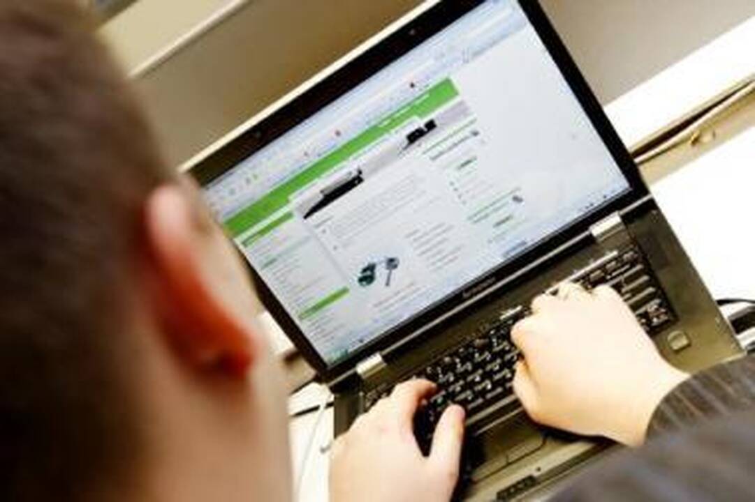Strategija: kompiuteriniai virusai gali padaryti daug didesnę žalą priešui nei tūkstančiai profesionalių karių.