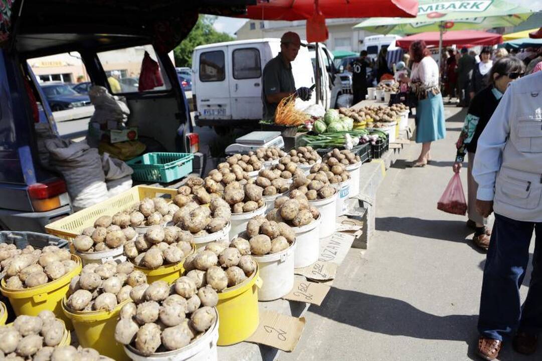 Uostamiesčio turguje – kainų pasiutpolkė