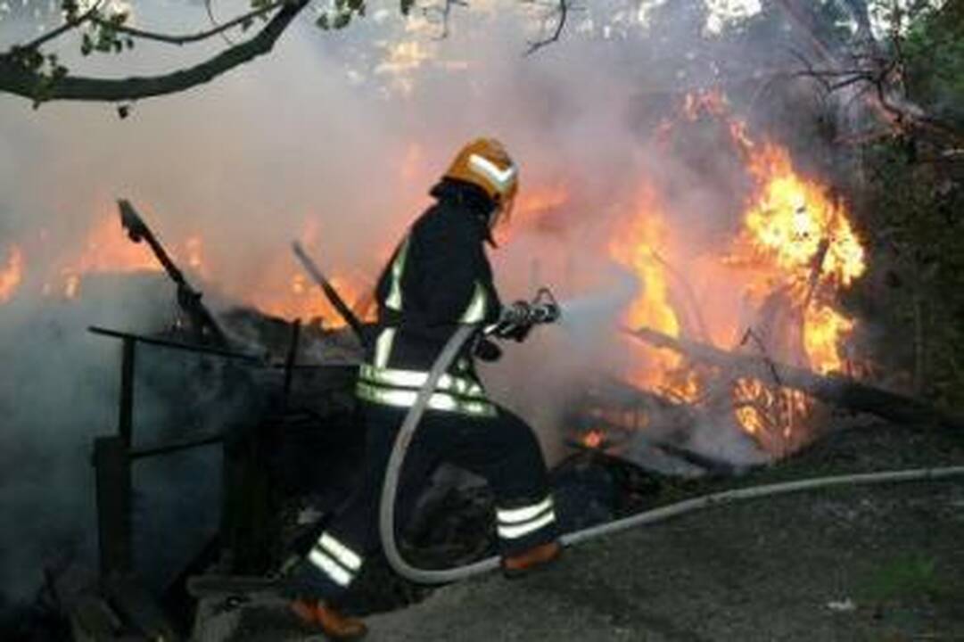 Valdžia priedus duoda tik "pateptiesiems"