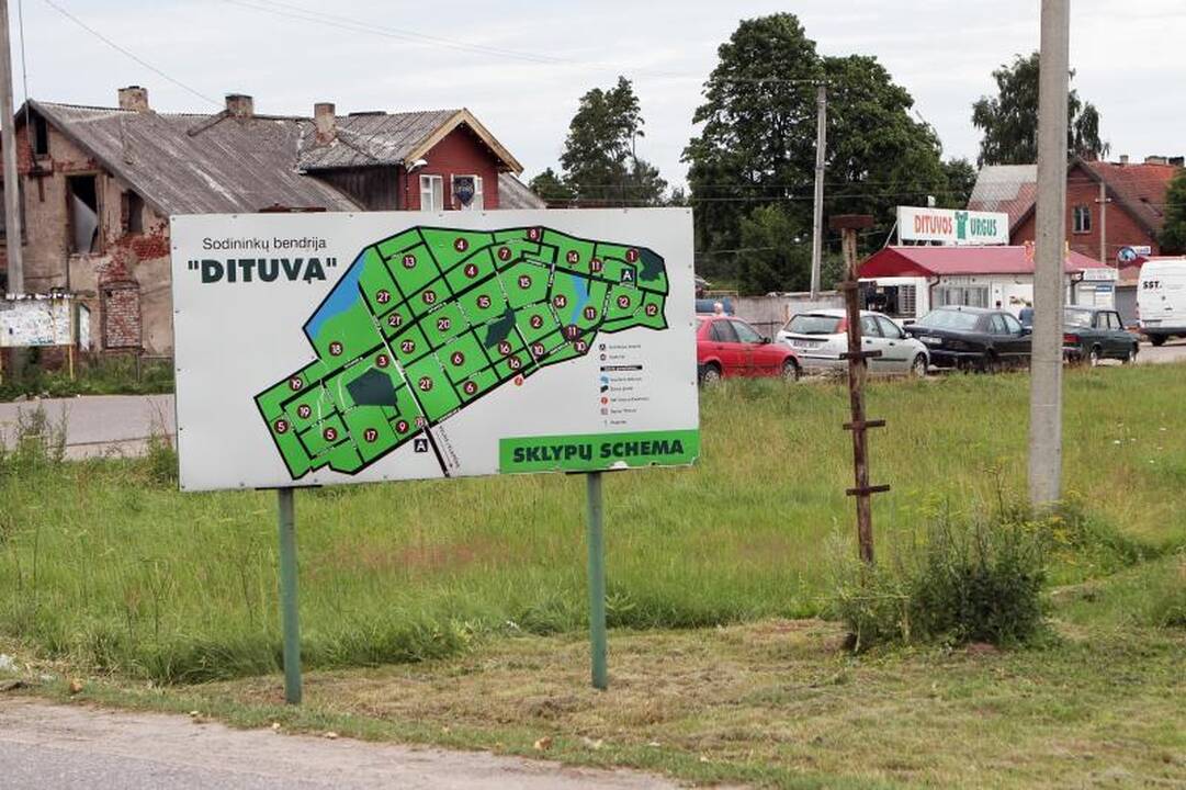 Sūnaus baimė dėl mamos žmogžudystės buvo nepagrįsta