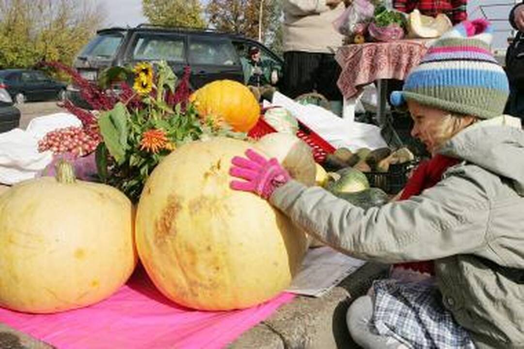 Šurmuliavo ūkininkų turgelis