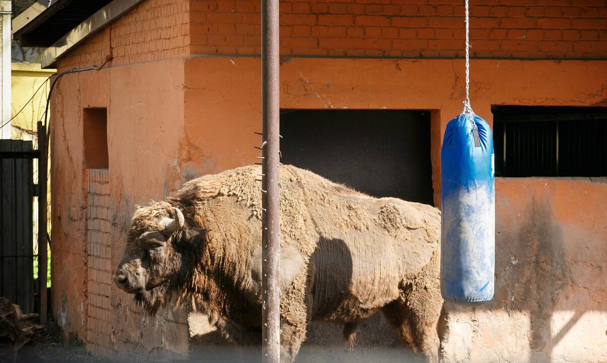 Zoologijos sodo sezono atidarymas