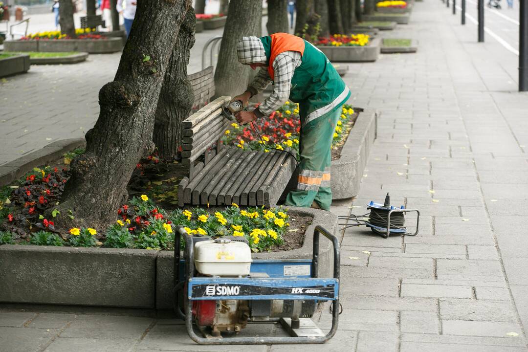 Laisvės alėjos suoliukai