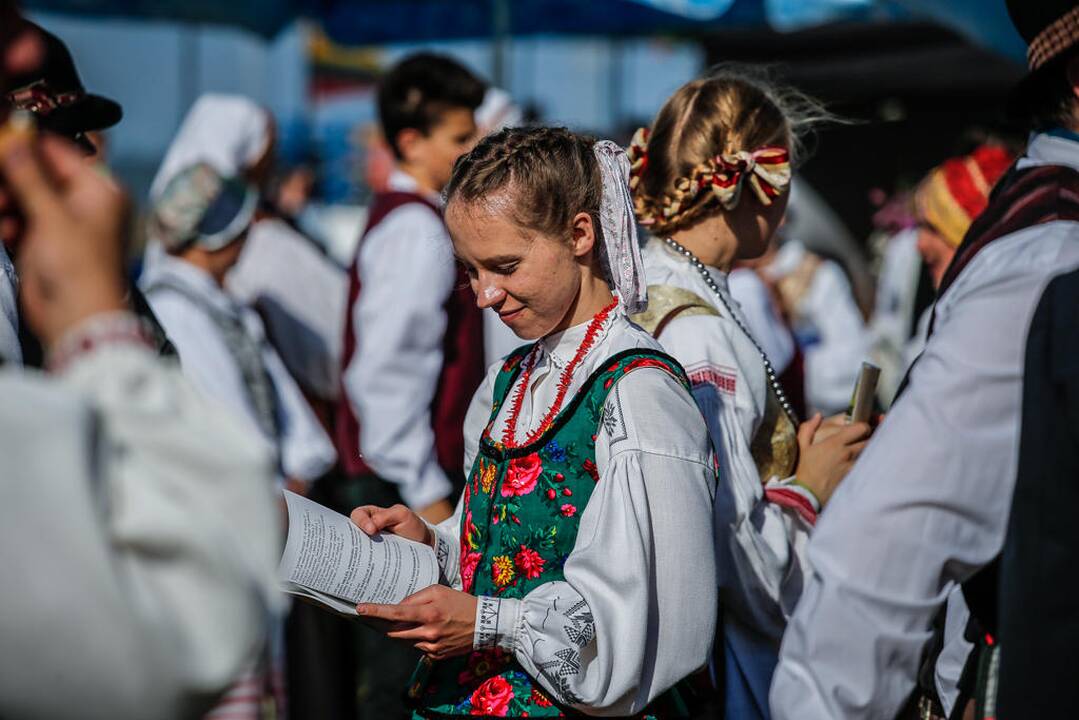 Vestuvinis Joninių festivalis Neringoje