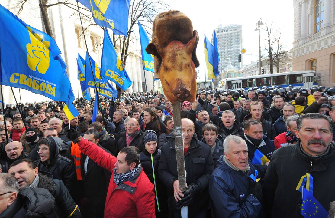 Protestai Ukrainoje