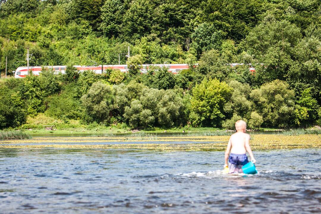 Vandens karas Panemunės šile