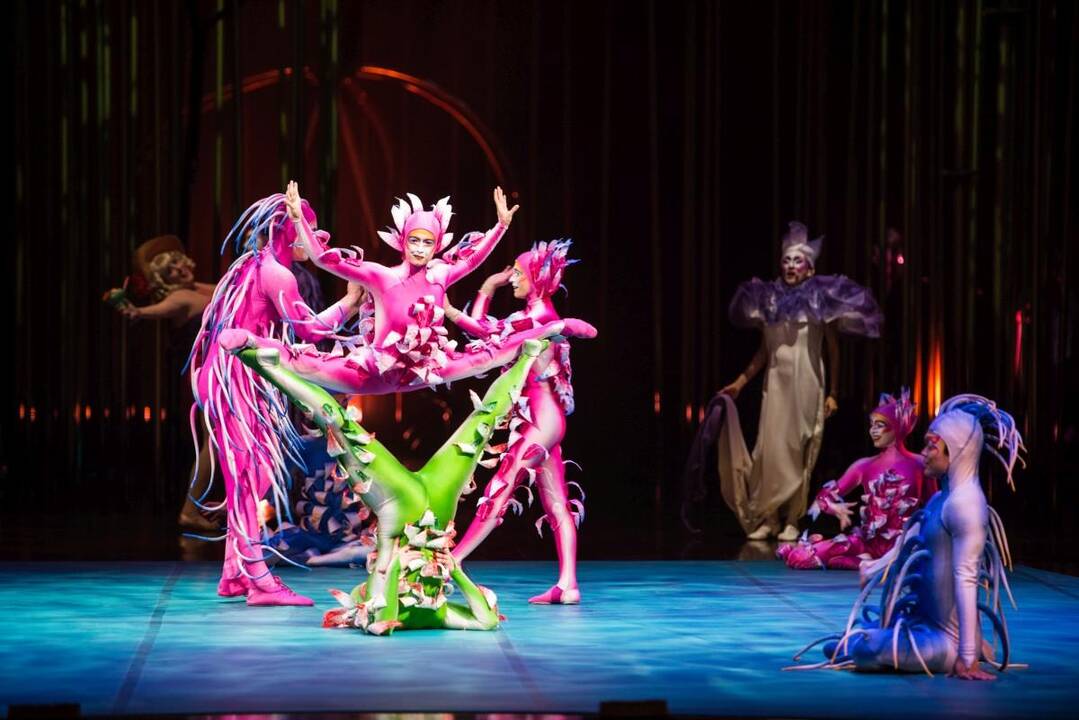 Spektaklio „Varekai“ kūrėjai ir atlikėjai pavergė žiūrovų širdis