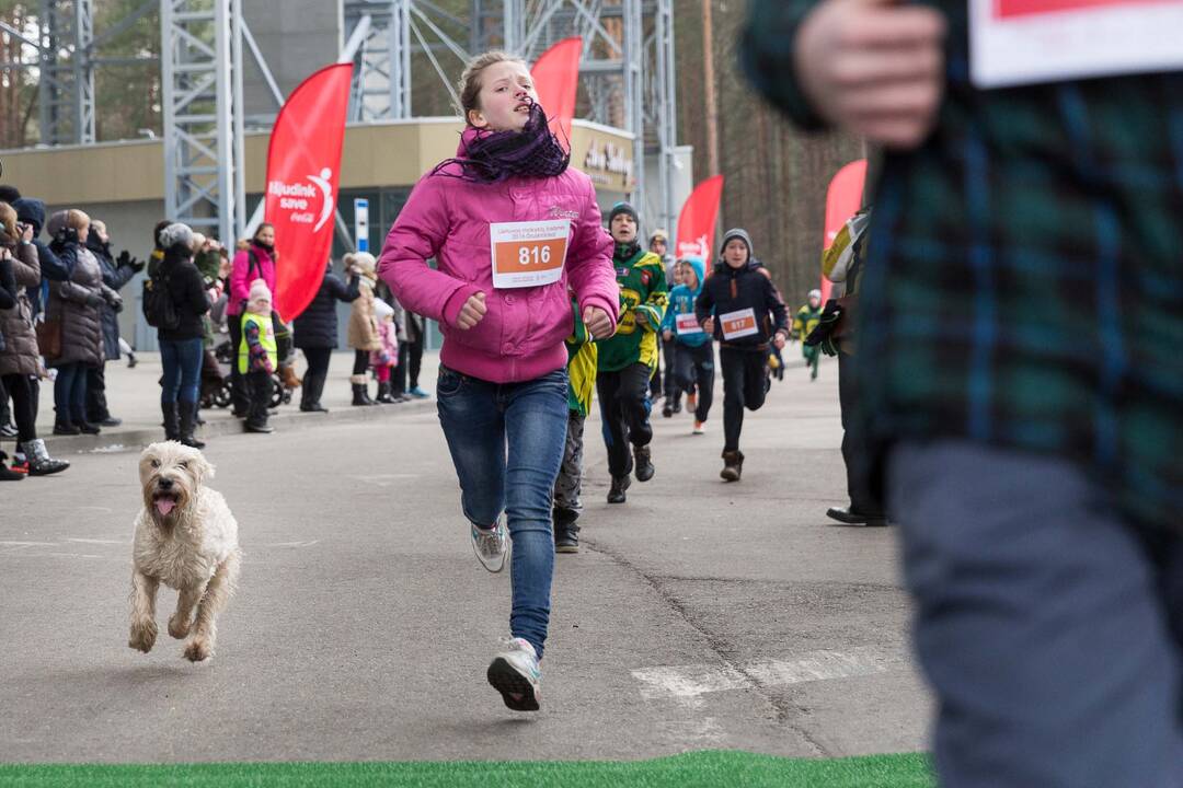 „LTeam“ festivalis Druskininkuose