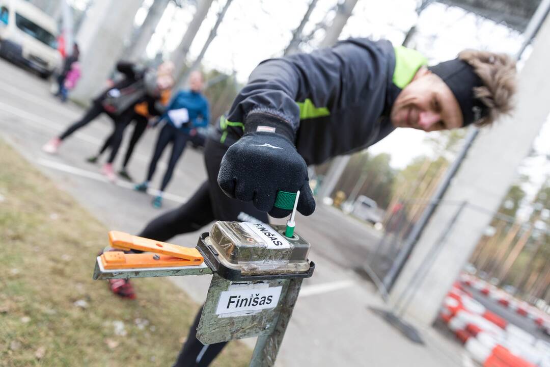 „LTeam“ festivalis Druskininkuose