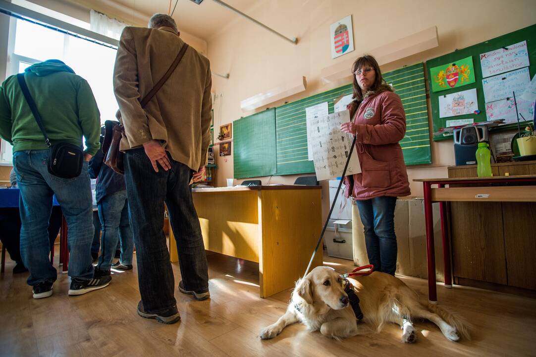 Vengrijos parlamento rinkimai