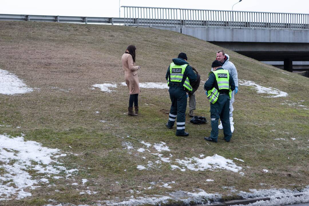 Išnuodyti paukščiai Šilainiuose