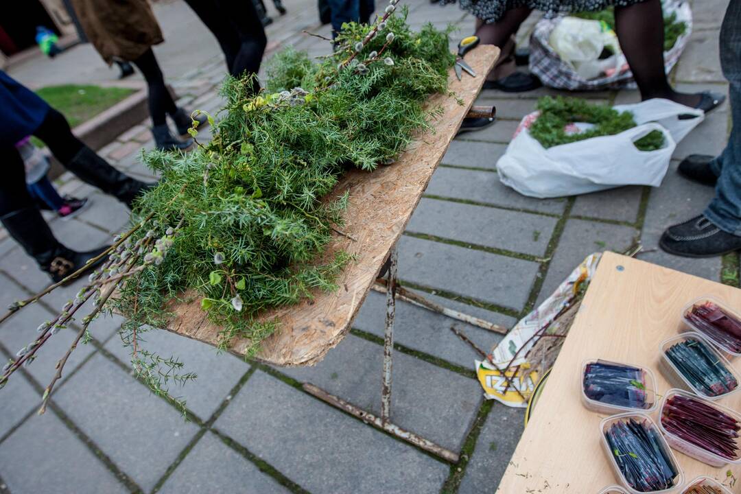 Verbų sekmadienis Kaune