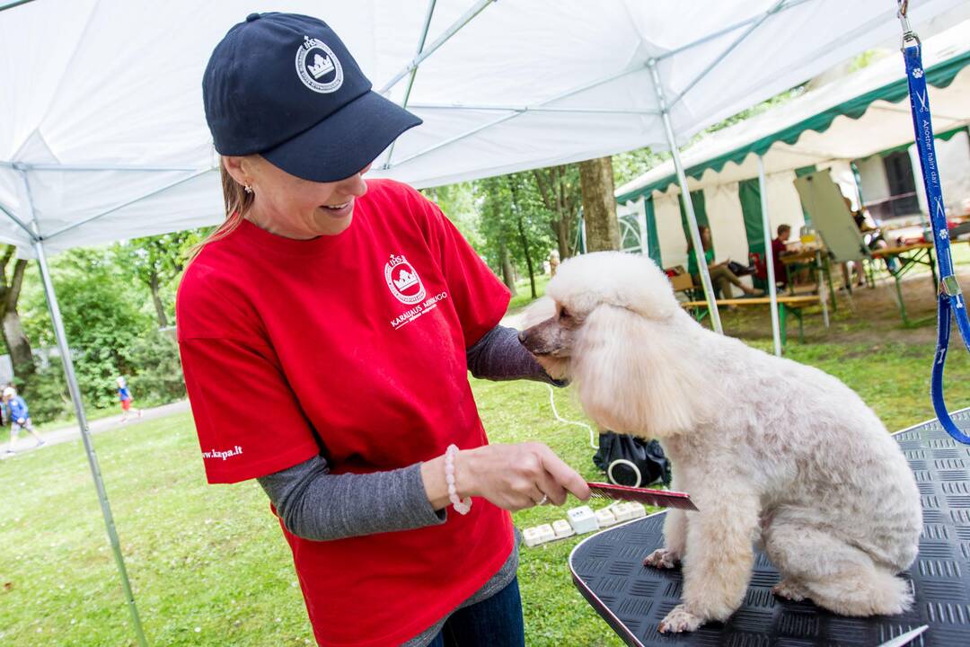 Gyvūnų prižiūrėtojo diena zoologijos sode