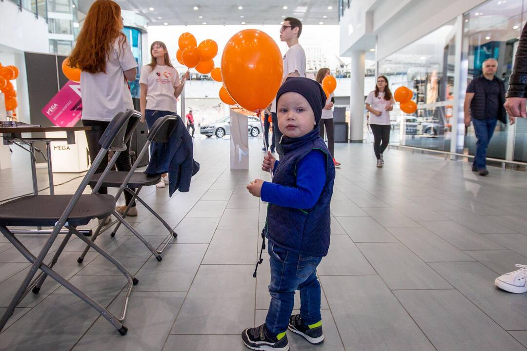 Minima širdies nepakankamumo diena