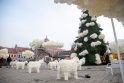Trys Karaliai išsineš saldžiąją Kauno Kalėdų eglę: bus išmontuota per šį savaitgalį