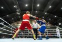 Trofėjai: jau po ketvirtfinalio kovų po septynis medalius buvo užsitikrinę Lietuvos ir Ukrainos boksininkai.