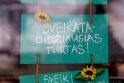 Apklausa: kad būtų efektyviau kovojama su pandemija, apie pusė apklaustųjų sutiktų su draudimu keliauti į užsienį, 38 proc. – kad nedirbtų ne maisto parduotuvės, trečdalis – kad skiepai nuo COVID-19 būtų privalomi.