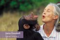 Jane Goodall