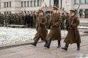 Vytauto Didžiojo karo muziejus sodelyje – iškilminga ceremonija Lietuvos kariuomenės dienai 