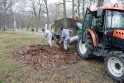 Planas: besibaigiant žiemai, ruošiamasi Klaipėdos parkų teritorijų tvarkymui.