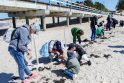 Patarimas: renkantieji pajūryje gintarus turėtų nedėti jų į kišenes.