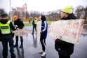Per A. Paleckio palaikymo mitingą Vilniuje sulaikytas vyras