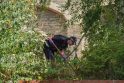 Tyrimas dėl Anglijoje subadytos devynmetės lietuvės: paskelbus nuotrauką įtariamasis sulaikytas