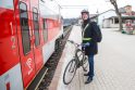 Duetas: bent keturis kartus per savaitę A.Lašas kartu su dviračiu traukiniu keliauja į Kauną ir atgal į sostinę.