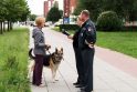 Klaipėdos policininkai pratins šunų šeimininkus prie tvarkos