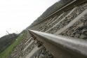 Pavogta pusantro šimto metrų siaurojo geležinkelio bėgių