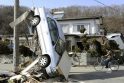 Investuotojai nerimauja dėl žemės drebėjimų ir cunamio Japonijoje