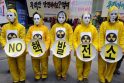 Pietų Korėjoje – protestas prieš AE