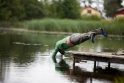 „Naisių vasaros“ aktorių išbandymai: ežere – su drabužiais