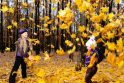 Švęsti auksinio rudens – į Sąjūdžio parką