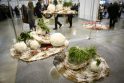 &quot;Litexpo&quot; renkasi floristikos mėgėjai