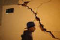 Lenkijoje - 4,5 balo žemės drebėjimas