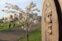 Kviečia į tarptautinį simpoziumą „Europos diskursai apie Japoniją“
