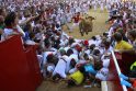 Pamplonoje pirmajį San Fermino festivalio bulių bėgime - netikėtumas Bulių bėgimas