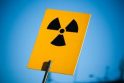 Ekspertas: Baltarusijoje statoma atominė elektrinė atlaikytų lėktuvo sudužimą